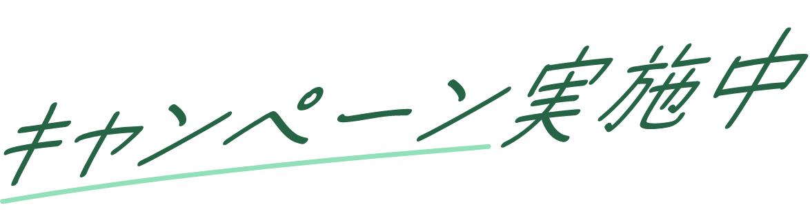 キャンペーン実施中